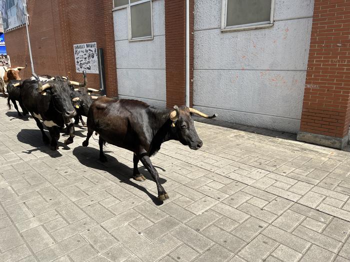 Kultura eta kale jarduera ug 19 1756587791323