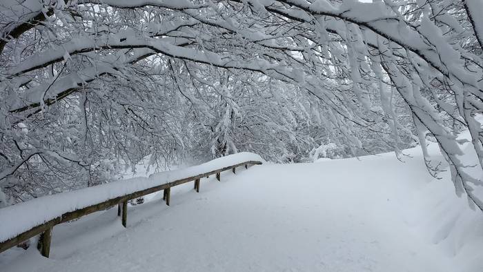 Zuriz jantzita esnatu da Aia 30 1517663375653