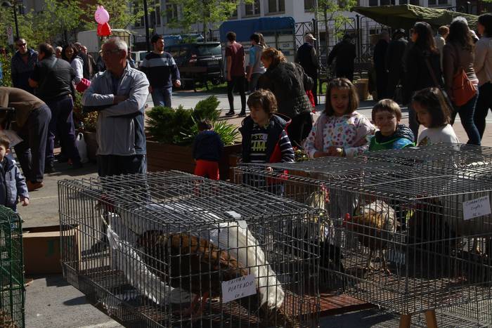 Dolumin Barikuak eta Korrika 17 1491597319790