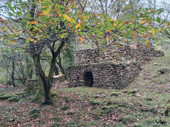 Supelaur Elkarteko zendutako 7 1761507442907