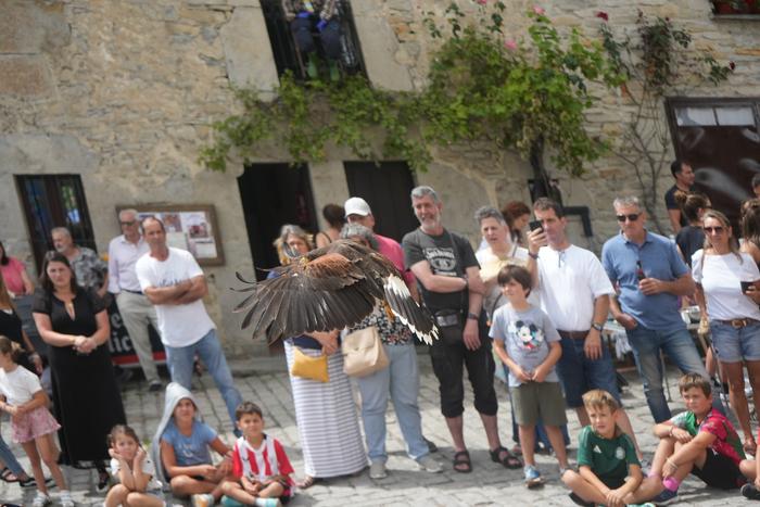 Falkoneria ikuskizuna antola 28 1752934073391