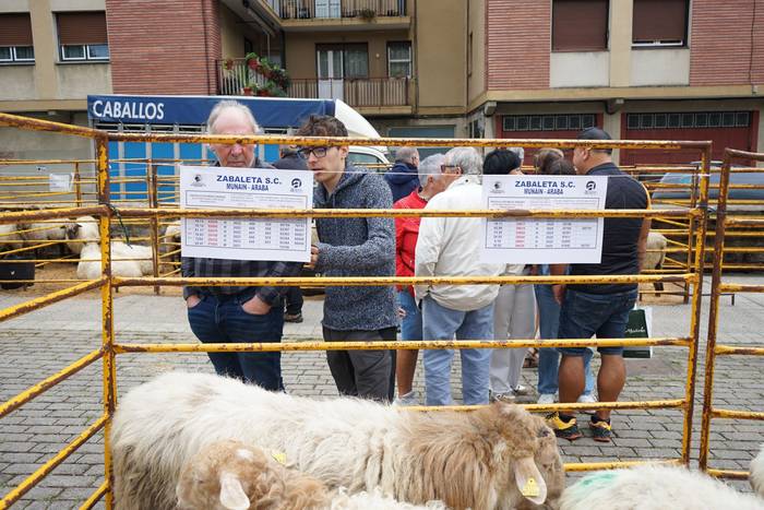 Yolanda Elosegui, Maria Ange 12 1758471071923