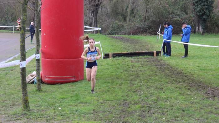 Ehunka lasterkarik bete ditu 36 1518372121628