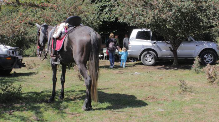 Sanbitoresak ospatzeko ehunk 254 1504516683836