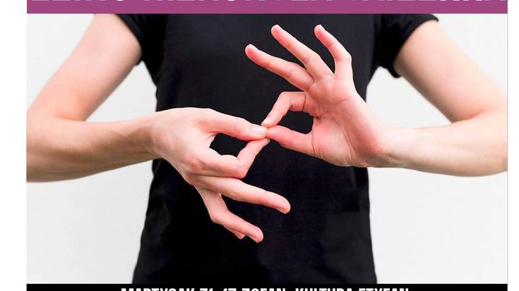 Zeinu hizkuntza tailerra