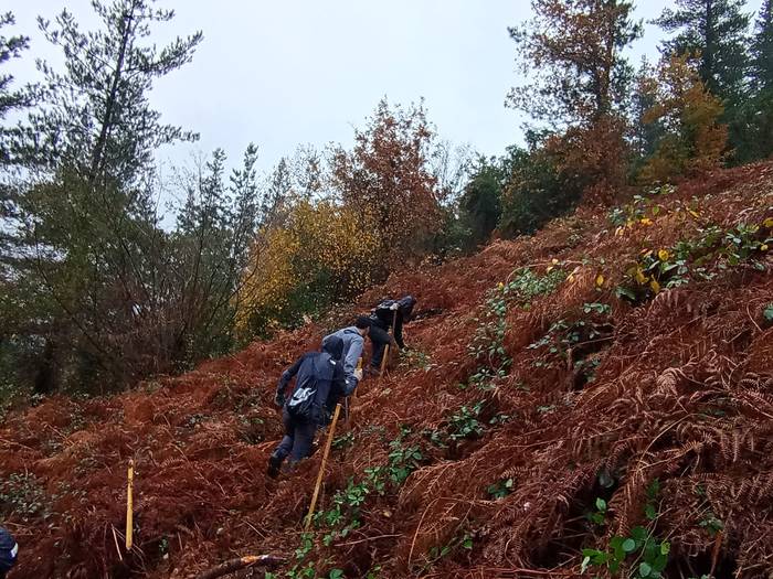 Eguraldia petrala izan arren 8 1765399945591