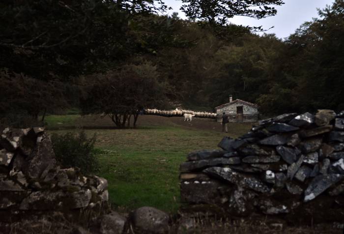 Gorobelen bukatu dituzte gra 7 1503657549345