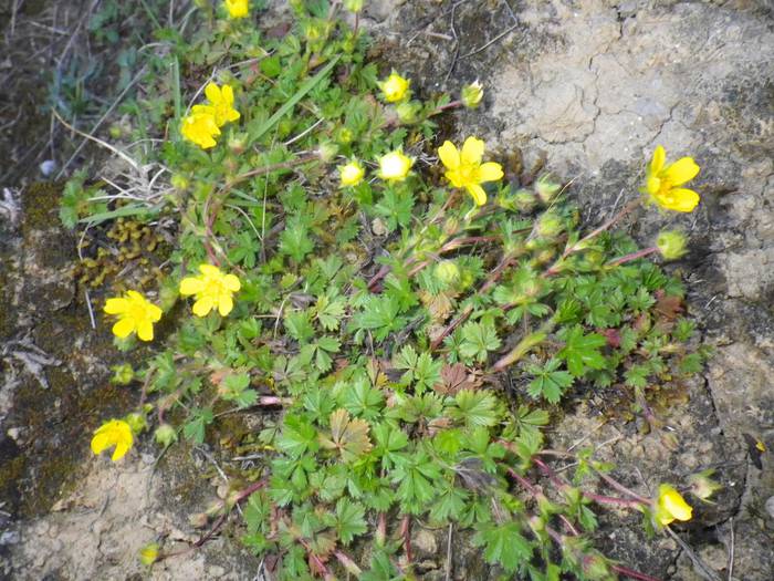 Agur esan baino arinago... 6 1523298192470