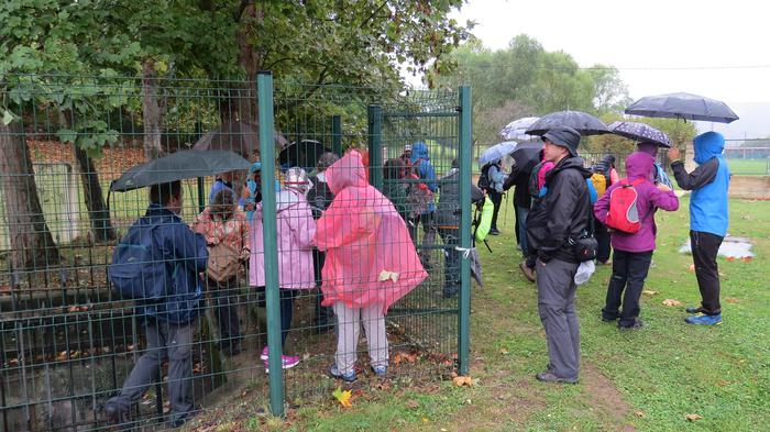 Herriko egitura geologikoa e 24 1508827262416