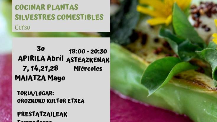 Landare basati jangarriak kozinatzeko ikastaroa