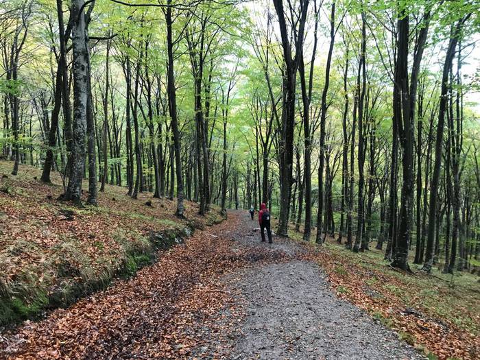 Gorobel mendi ibilaldian 500 25 1510053999007