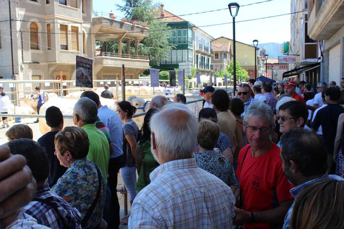 Txaroles lehiaketa batean ep 1 1497991539272