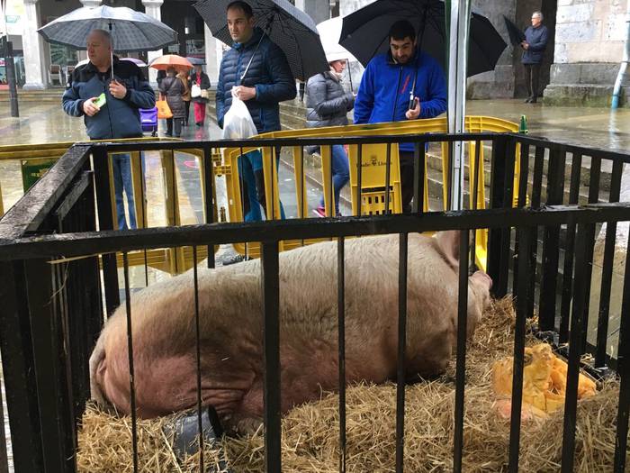 Tomasa XI. sanblasetako prot 5 1517485196846