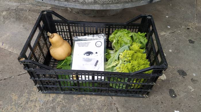 Laudioko Gaztetxeko saskia