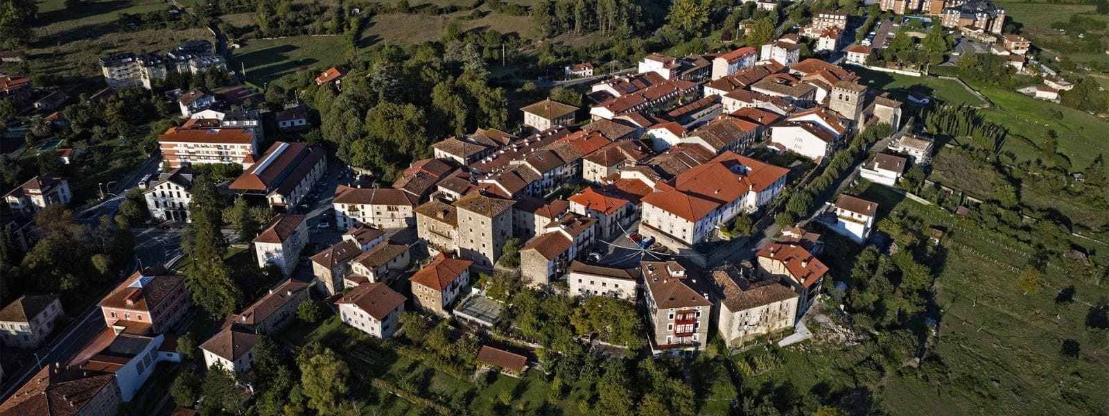 Artziniegak adopziozko seme titulua kendu zion atzo Jesús Romeo ministro falangistari