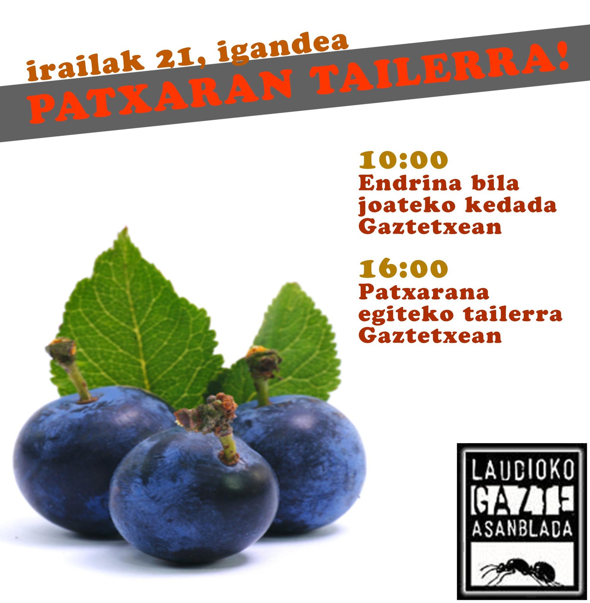 Patxaran tailerra igandean!