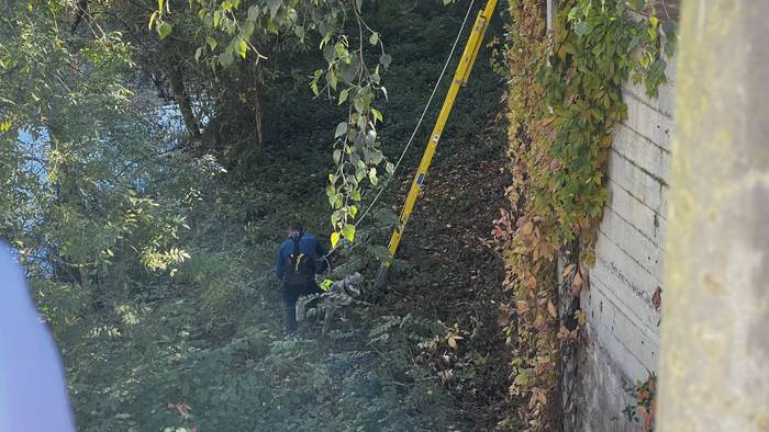 Txakur bat erreskatatu dute  5 1761824744010