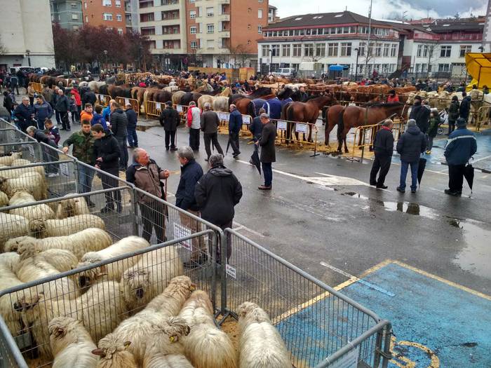 Ehunka lagunek berotu dute D 5 1521813731006