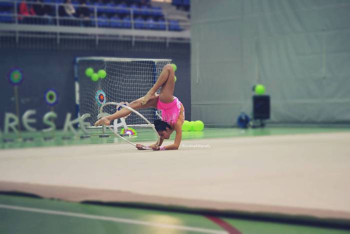 Dozenaka parte hartzaile X.  185 1490877995079