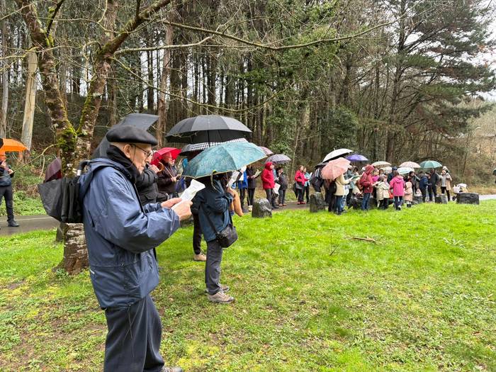 Gernikako zuhaitzaren kimua  21 1770844211078