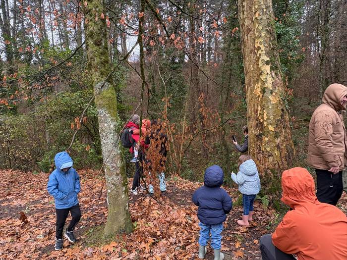 Olentzero eta Mari Domingi L 4 1766335799807