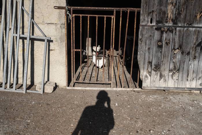 Eguraldia lagun izan zuten a 7 1756639339898