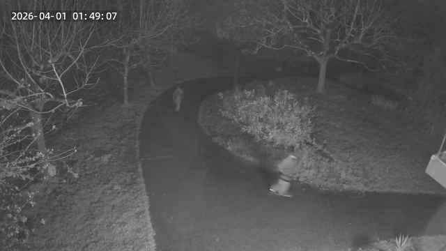 Espetxeratu dituzte Oleta auzoko hainbat baserritan lapurtzea egotzita atxilotutako bi pertsonak