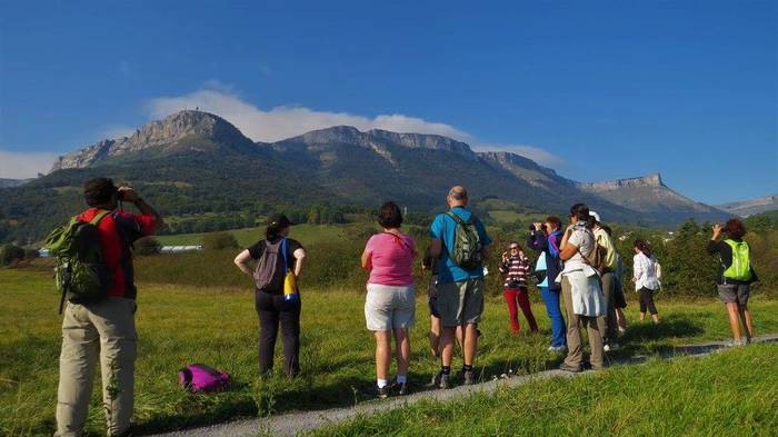 Hegaztiak ezagutzeko txangoa 6 1508074246446