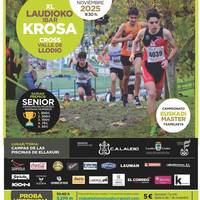 XL. Laudio Ibar Krosa