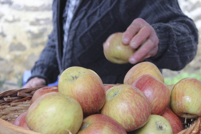 Ehunka ekoizlek eta bisitari 30 1516541914305