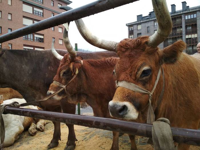 Ehunka lagunek berotu dute D 25 1521814090693