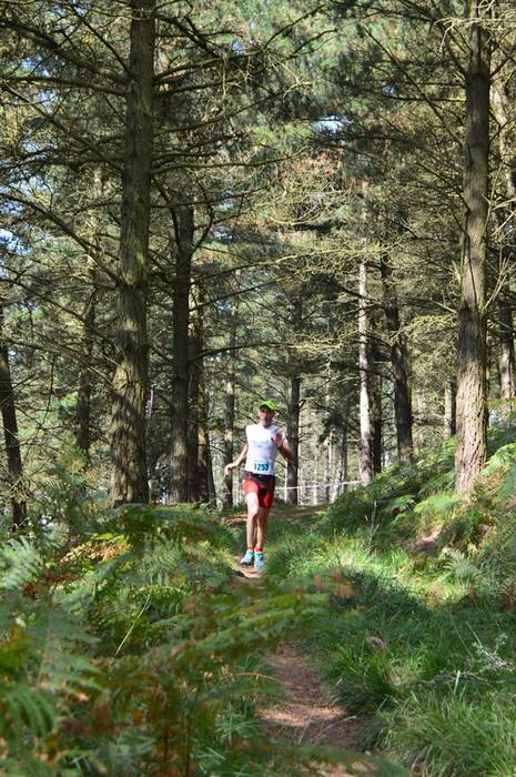 Aurreikuspen guztiak gaindit 8 1500897538666