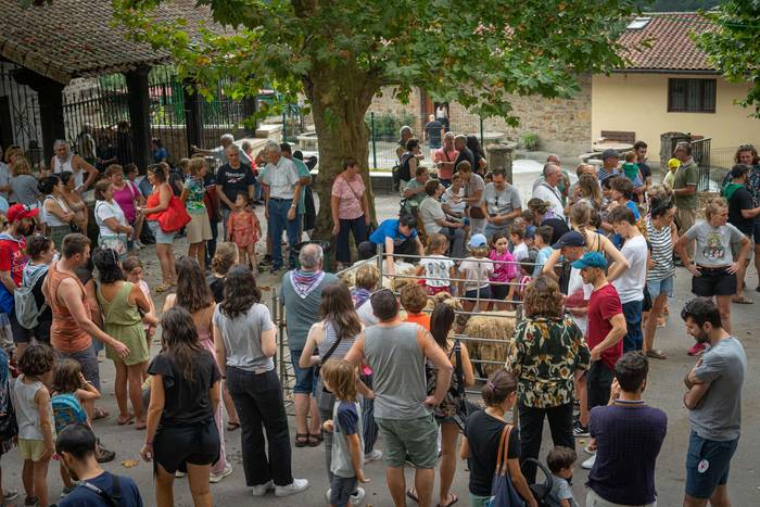 San Roke inguruan eman diete 17 1755434205868