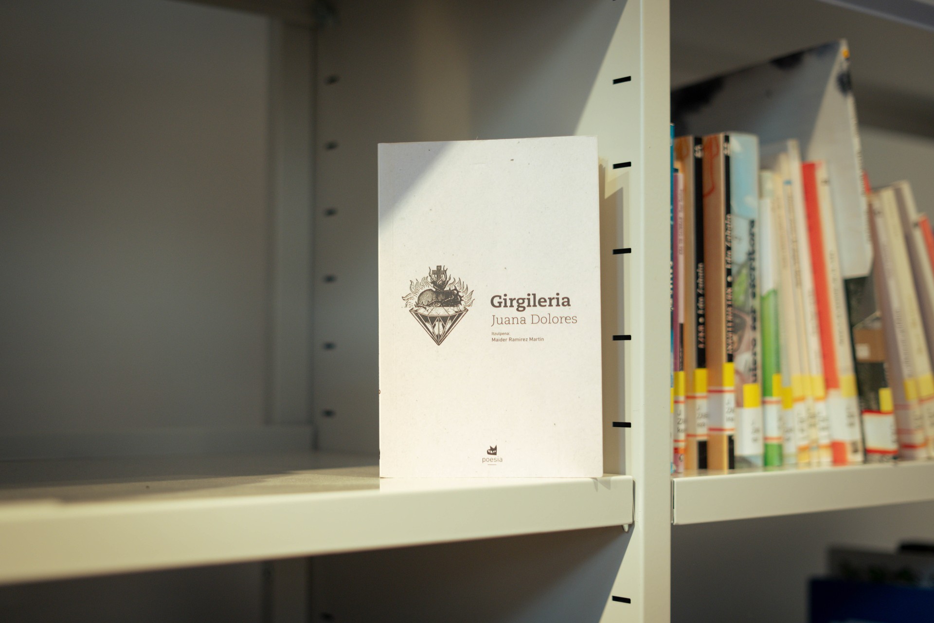 'Girgileria' liburuaren ale bat zozkatuko du Aiaraldea Komunikabideak