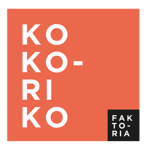 Erabiltzailearen aurpegia