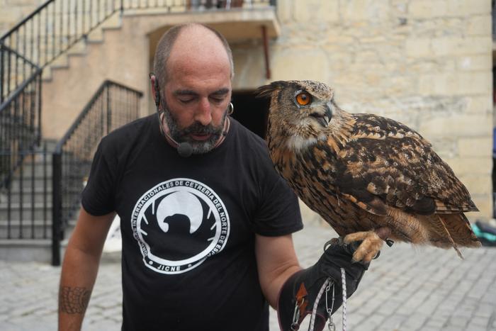 Falkoneria ikuskizuna antola 26 1752934050243