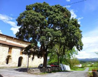 Amurriok Administrazio Batzarren finantziazioa indartu du 200.000 euroko partida batekin