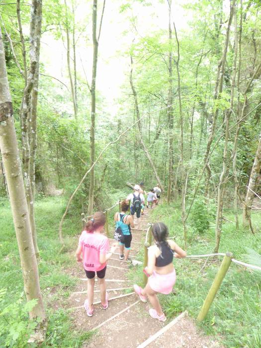 Astelehenerarte luzatu ziren 31 1496394145346