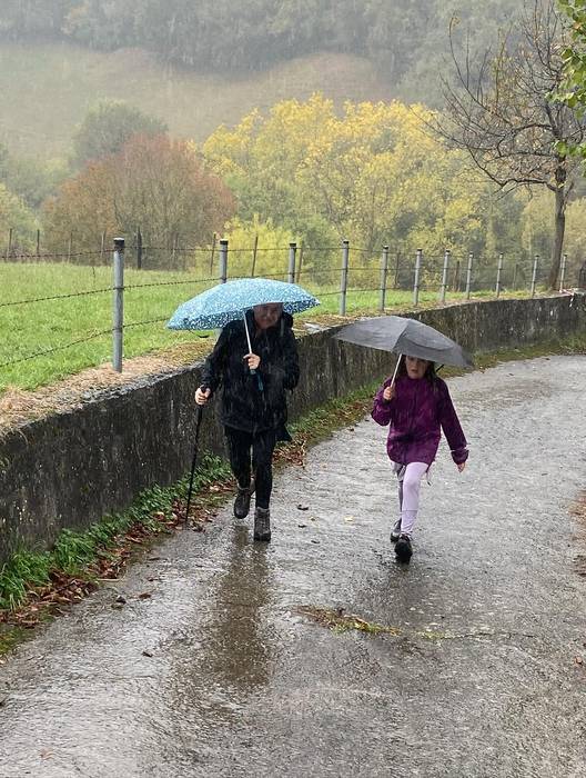 Lezamako mendi ibilaldiak 25 63 1761572532067