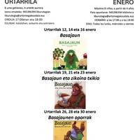 Ipuin txikiak: "Basajaun eta zikoina txikia"