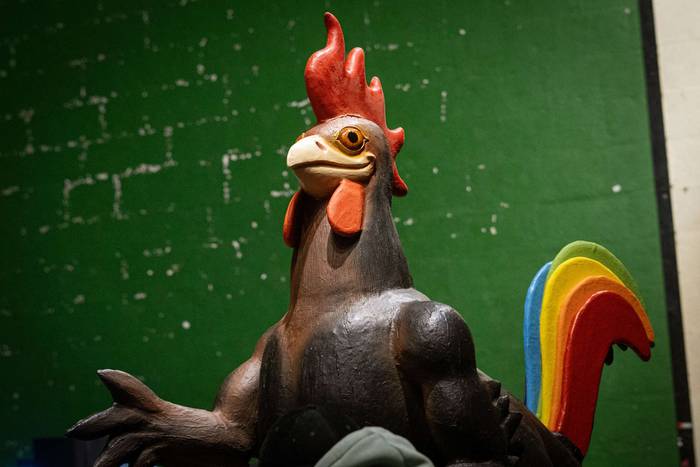 Carnesto oilarraren konpaini 56 1771098685543