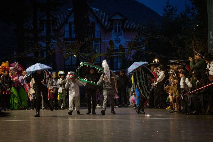 Carnesto oilarraren konpaini 40 1771098653202