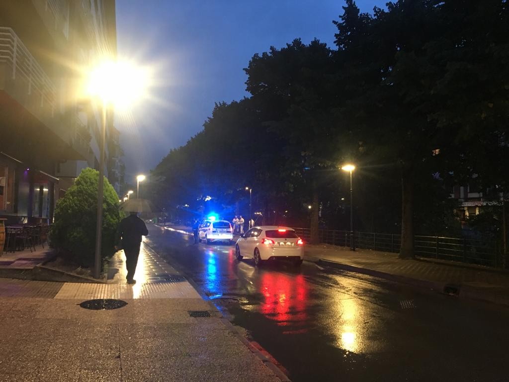 Liztor asiarraren habia bat kendu dute Nerbioi kalean