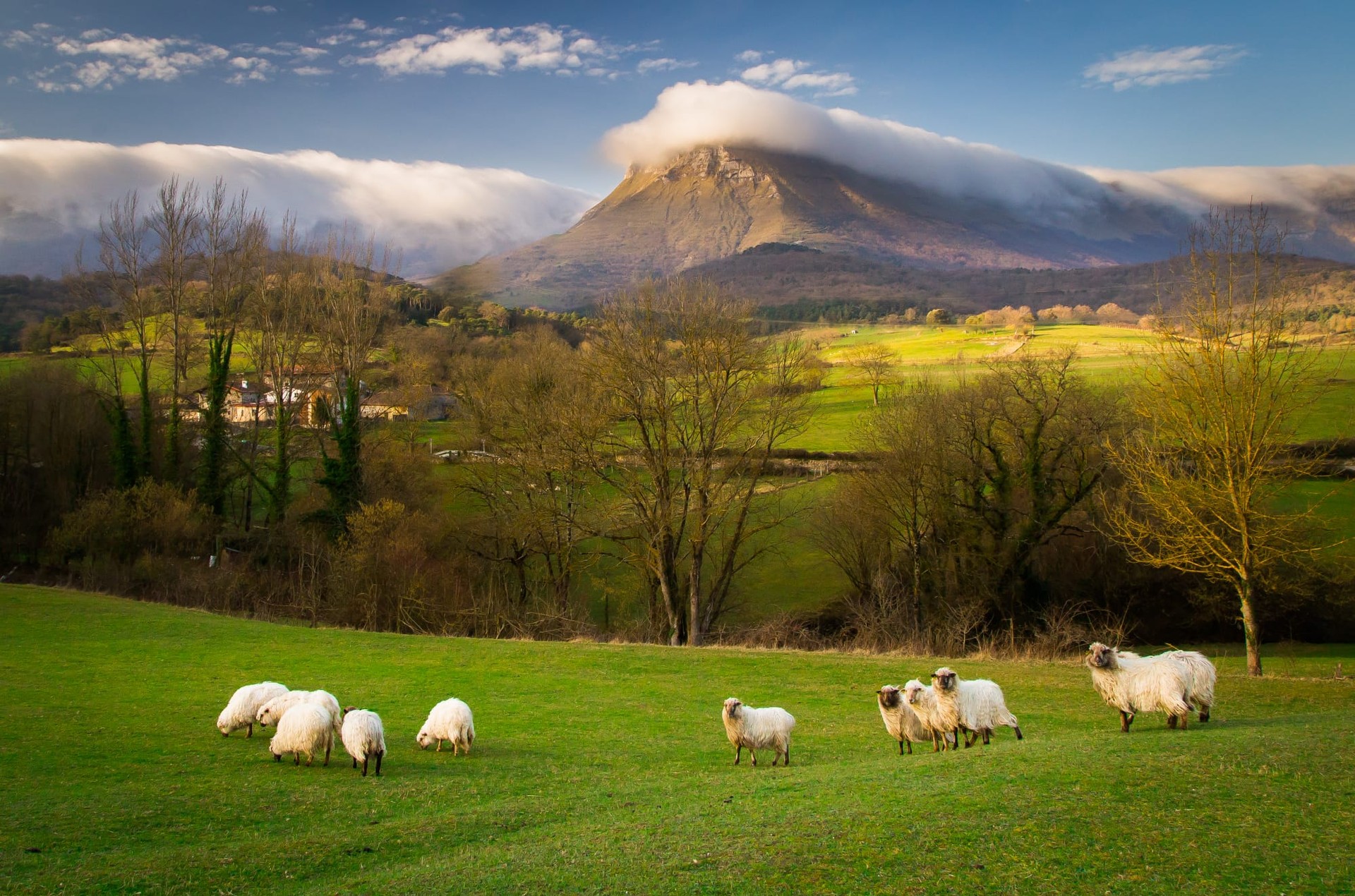 Aiaraldea, kultura eta natura