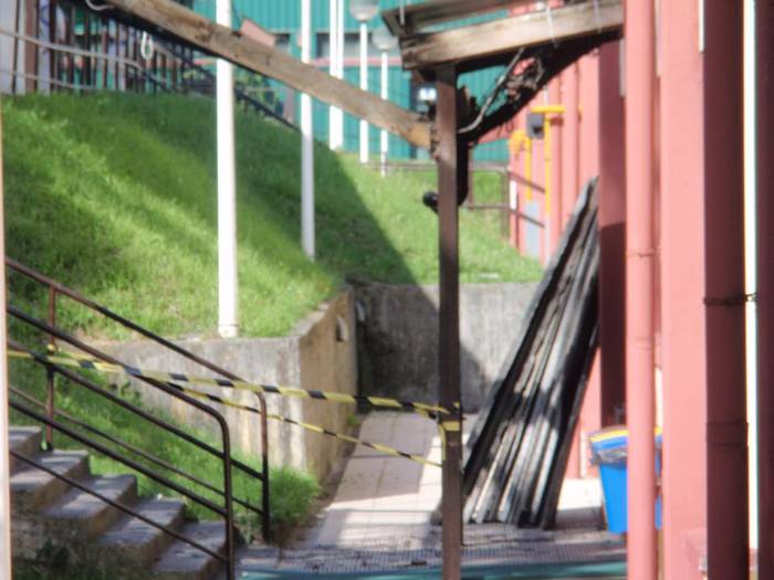 [KOMUNITATEA] Amiantoa Latio 12 1500981061116