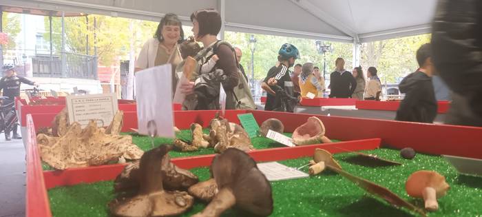 Ziza garaia iritsi da Urduña 3 1760971488688