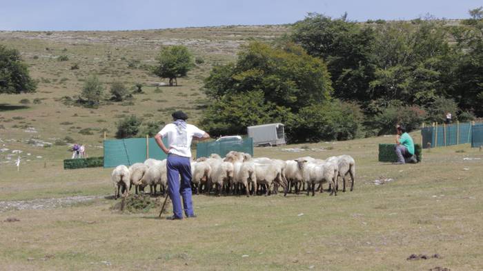 Sanbitoresak ospatzeko ehunk 187 1504513591751