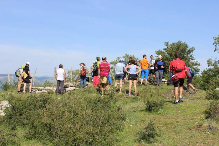 San Pedron gertatutako sarra 5 1495994129587