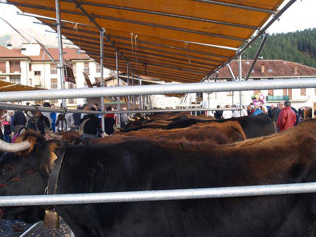 Santa Luzia azokako hitzaldia