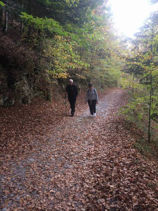 Iratiko basoan egon da asteb 6 1509432767278